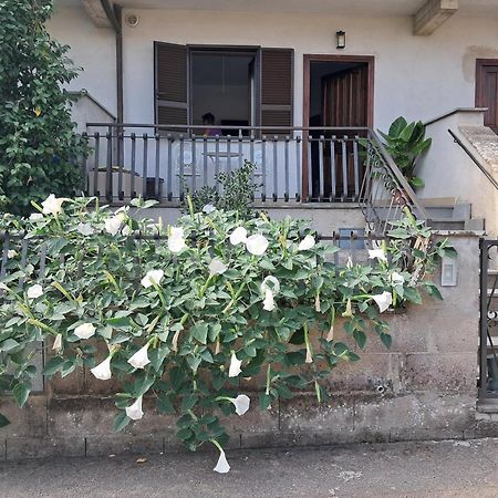 Appartamento A Casa Ida Bagnoregio Esterno foto